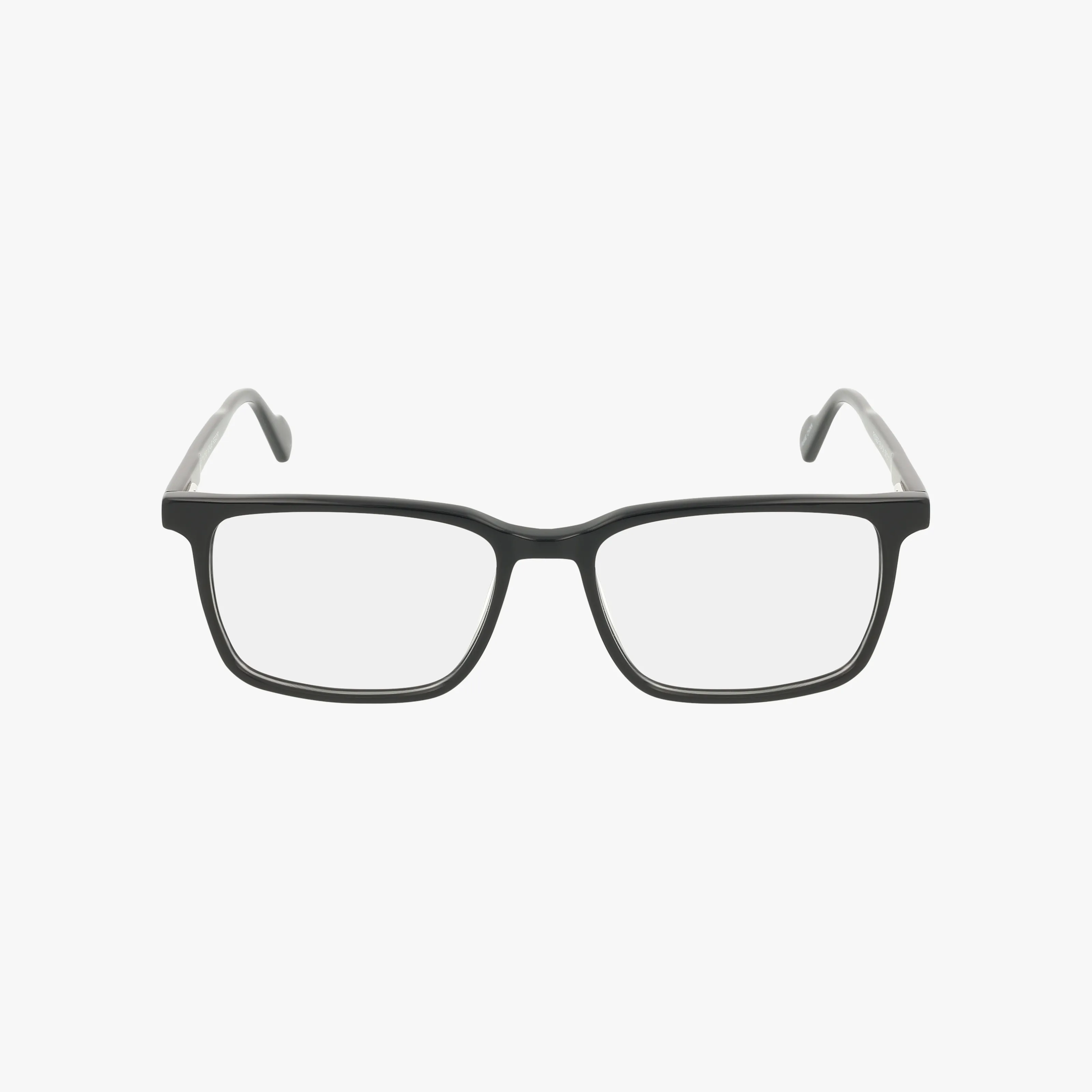 ROGER - Image 2